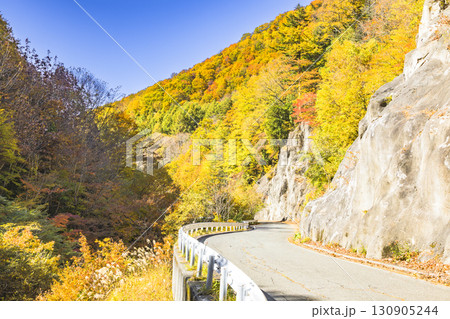 紅葉に彩られる奥利根ゆけむり街道 130905244