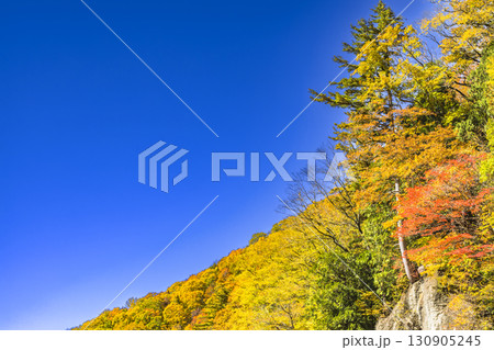 錦秋に彩られる照葉峡 錦秋に彩られる照葉峡 130905245