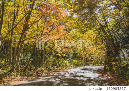 紅葉に彩られる奥利根ゆけむり街道 紅葉に彩られる奥利根ゆけむり街道 130905257