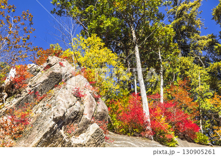 錦秋に彩られる照葉峡 130905261