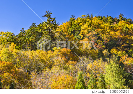 錦秋に彩られる照葉峡 錦秋に彩られる照葉峡 130905295