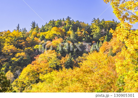 錦秋に彩られる照葉峡 錦秋に彩られる照葉峡 130905301