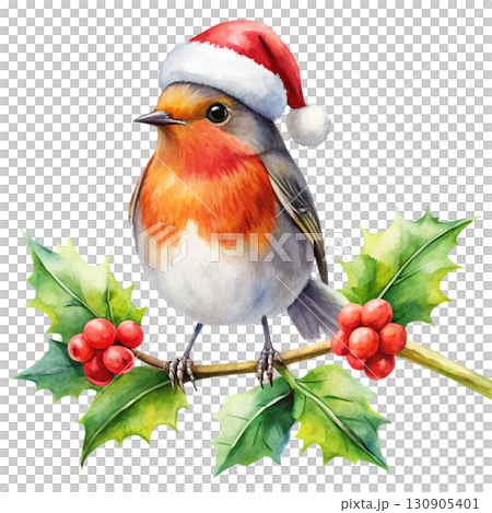 Minimal watercolor illustration of a cute robin with a red chest Watercolor white background  130905401