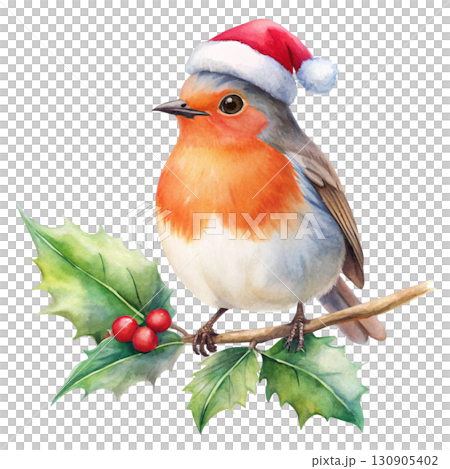 Minimal watercolor illustration of a cute robin with a red chest Watercolor white background  130905402