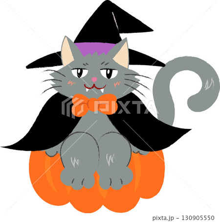 ハロウィン　魔女に仮装した猫　かぼちゃ 130905550