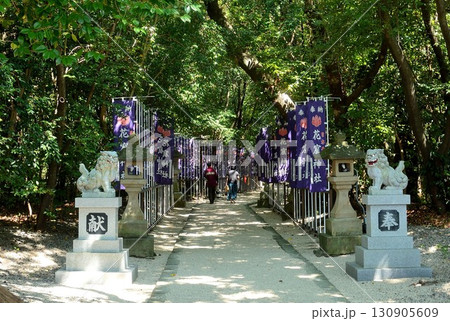 狛犬が迎えるはなが迎える花の窟神社 狛犬が迎えるはなが迎える花の窟神社 130905609