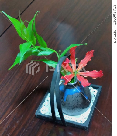 赤い花一輪 一輪挿しのグロリオサ 赤い花一輪 一輪挿しのグロリオサ 130905715