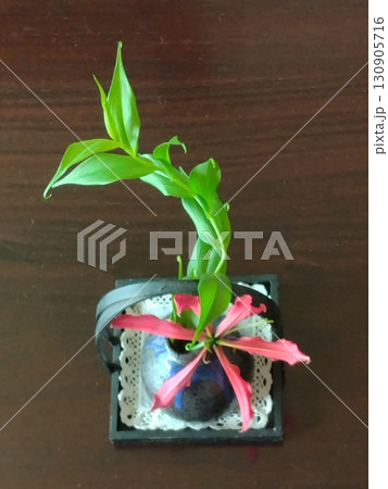 赤い花一輪　一輪挿しのグロリオサ 130905716