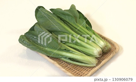 冬が旬の新鮮な小松菜|鉄分・カルシウムが豊富な緑黄色野菜 冬が旬の新鮮な小松菜|鉄分・カルシウムが豊富な緑黄色野菜 130906079