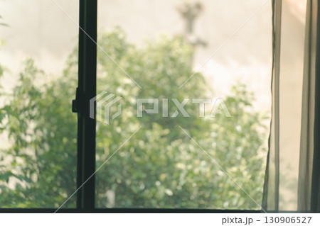 窓から見える植栽 130906527