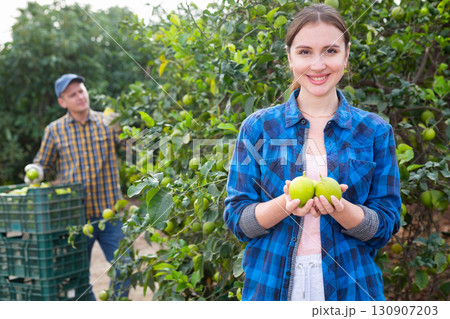 Delighted farmer woman holding lemons in fruit farm Delighted farmer woman holding lemons in fruit farm 130907203