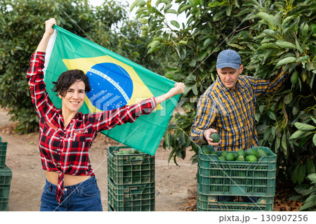 Girl football fan waving brazil flag during avocado harvest Girl football fan waving brazil flag during avocado harvest 130907256