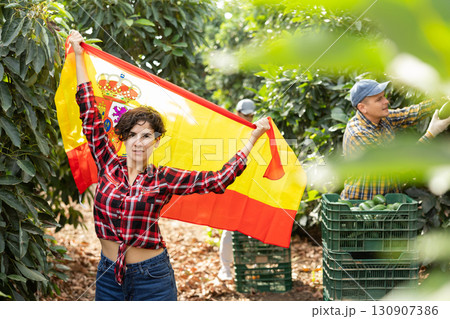 Happy young Latin female waving Spanish flag during avocado harvesting season on farm 130907386