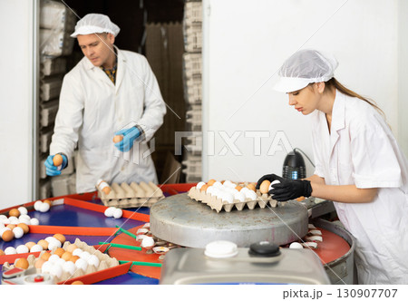 group of people in lab coats and hairnets doing egg quality control in chicken farm group of people in lab coats and hairnets doing egg quality control in chicken farm 130907707