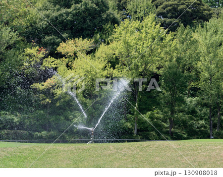 芝生散水 130908018