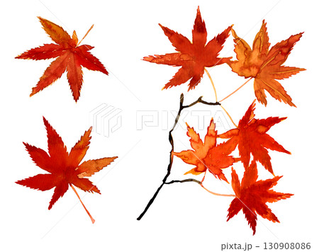 水彩手描きの紅葉。みじの秋の葉っぱ。和風イラスト素材 130908086