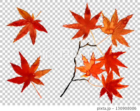 水彩手描きの紅葉。みじの秋の葉っぱ。和風イラスト素材 130908086