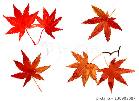水彩手描きの紅葉。みじの秋の葉っぱ。和風イラスト素材 130908087