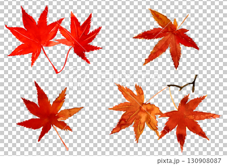 水彩手描きの紅葉。みじの秋の葉っぱ。和風イラスト素材 130908087