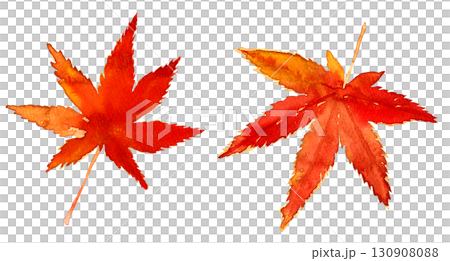 Watercolor hand-drawn autumn leaves. Autumn leaves of maple. Japanese style illustration material Watercolor hand-drawn autumn leaves. Autumn leaves of maple. Japanese style illustration material 130908088