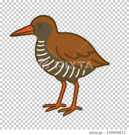 絶滅危惧種　ヤンバルクイナ 130908611