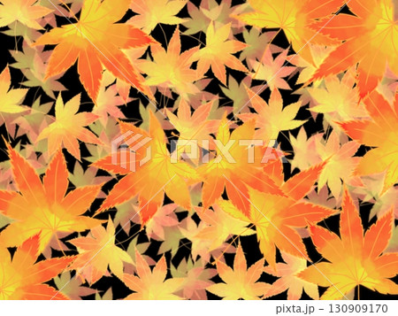 紅葉の背景1/2 130909170