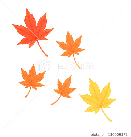 秋の落ち葉セット　紅葉・イチョウ・枯れ葉　PNG切り抜き素材 130909371