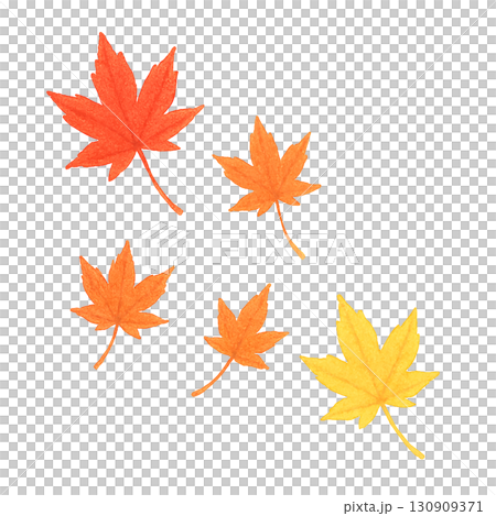 秋の落ち葉セット　紅葉・イチョウ・枯れ葉　PNG切り抜き素材 130909371