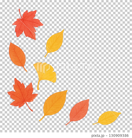 秋の落ち葉セット　紅葉・イチョウ・枯れ葉　PNG切り抜き素材 130909386
