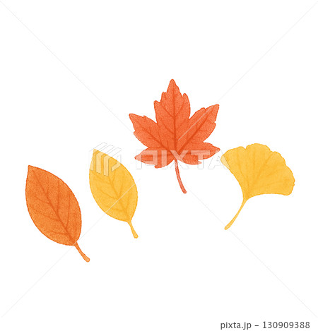 秋の落ち葉セット　紅葉・イチョウ・枯れ葉　PNG切り抜き素材 130909388