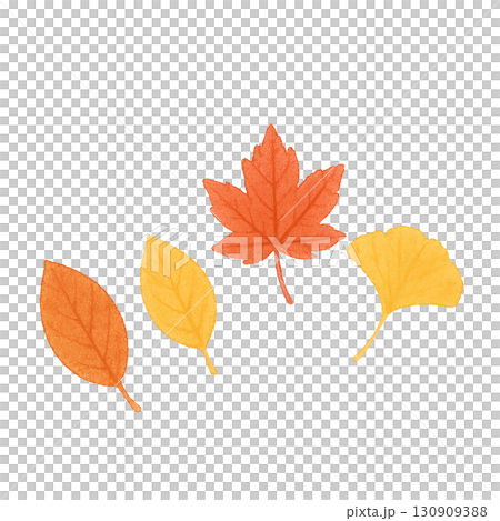 秋の落ち葉セット　紅葉・イチョウ・枯れ葉　PNG切り抜き素材 130909388