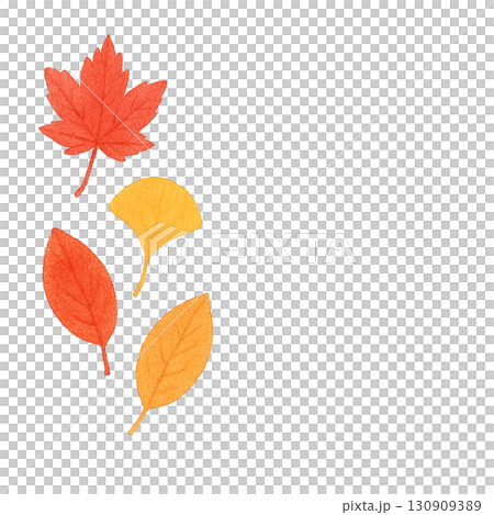秋の落ち葉セット 紅葉・イチョウ・枯れ葉 PNG切り抜き素材 秋の落ち葉セット 紅葉・イチョウ・枯れ葉 PNG切り抜き素材 130909389