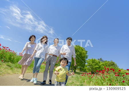 ポピーの咲く公園を歩く3世代家族 ポピーの咲く公園を歩く3世代家族 130909525