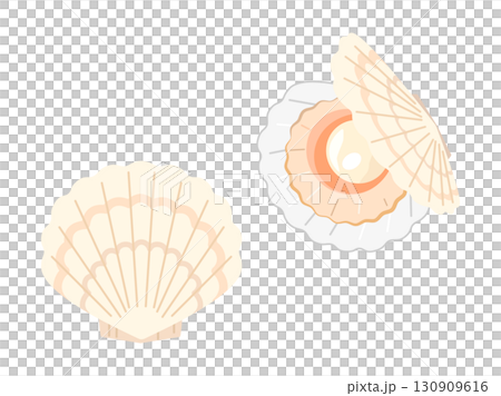 白いホタテ貝のイラストのセット 130909616