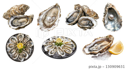 Oyster oysters, salt-water bivalve molluscs shellfish, many angles view side top front plate shucked pile lemon isolated on transparent cutout, PNG file. Mockup template Oyster oysters, salt-water bivalve molluscs shellfish, many angles view side top front plate shucked pile lemon isolated on transparent cutout, PNG file. Mockup template 130909631