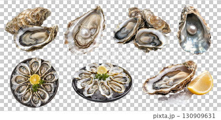 Oyster oysters, salt-water bivalve molluscs shellfish, many angles view side top front plate shucked pile lemon isolated on transparent cutout, PNG file. Mockup template 130909631