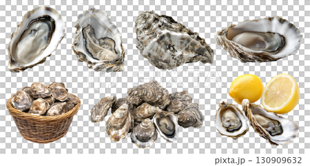 Oyster oysters, salt-water bivalve molluscs shellfish, many angles view side top front basket pile lemon isolated on transparent cutout, PNG. Mockup template for artwork 130909632