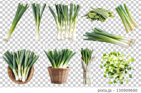 Leek, Scallion, spring onion vegetable plant stem stalk, many angles view side top front basket slice chop bundled isolated on transparent cutout, PNG file. Mockup template for artwork 130909680
