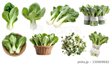 Bok choy, pak choi, pok choi, chinese cabbage, vegetable greens plant leaves, many angles view side top front basket chop bundled isolated on transparent cutout, PNG file. Mockup template for design 130909682