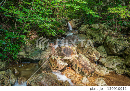大津市北小松の渓流　楊梅の滝下流　滋賀県 130910911