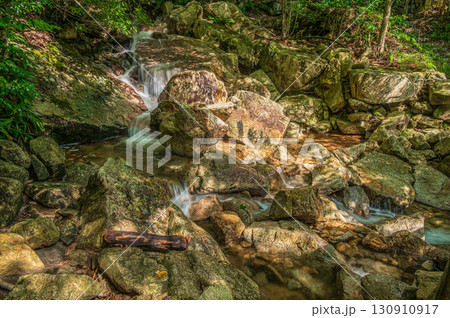 大津市北小松の渓流 楊梅の滝下流 滋賀県 大津市北小松の渓流 楊梅の滝下流 滋賀県 130910917