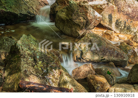 大津市北小松の渓流 楊梅の滝下流 滋賀県 大津市北小松の渓流 楊梅の滝下流 滋賀県 130910918