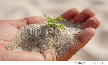 手のひらの上で芽吹く新芽、エコロジー 手のひらの上で芽吹く新芽、エコロジー 130911119