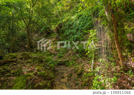 山の中のハイキングコース　滋賀県大津市北小松 130911168