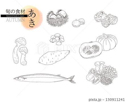 旬の食材・秋・線画 130911241