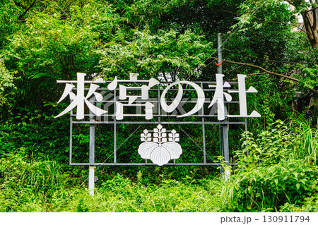 熱海市 來宮神社 (きのみやじんじゃ) 熱海市 來宮神社 (きのみやじんじゃ) 130911794