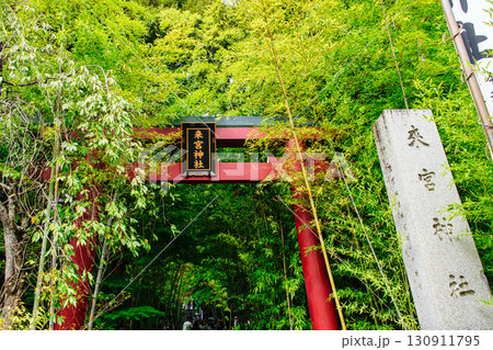 熱海市 來宮神社 (きのみやじんじゃ) 鳥居 熱海市 來宮神社 (きのみやじんじゃ) 鳥居 130911795