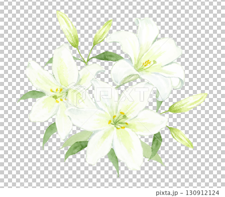 一束白色的百合花水彩畫 一束白色的百合花水彩畫 130912124
