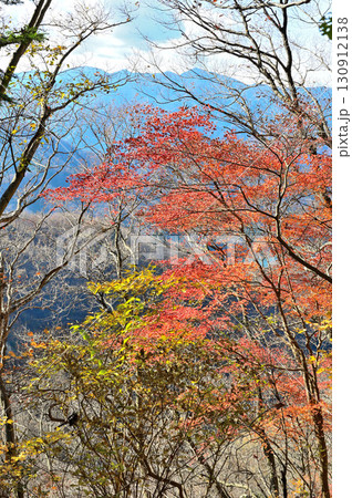 丹沢の相州アルプス　革籠石山の紅葉 130912138