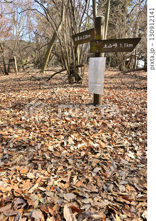 丹沢の革籠石山 土山峠コースの登山道 丹沢の革籠石山 土山峠コースの登山道 130912141